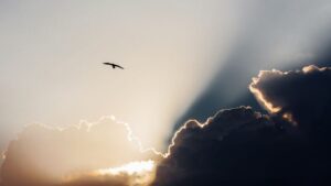 Inspirations from successful authors