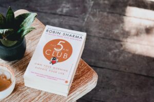 Lessons from the 5 AM Club book