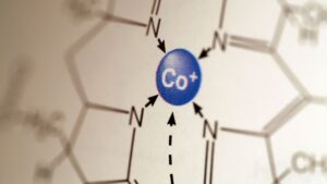 Graphical abstracts - Featured