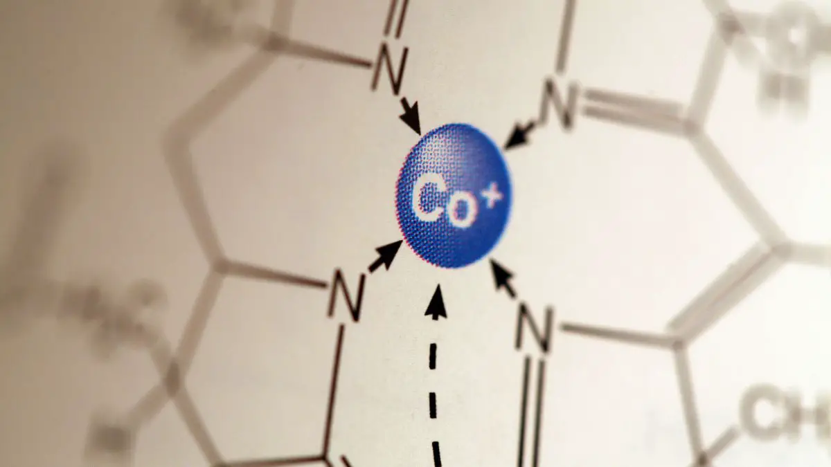 Graphical abstracts - Featured