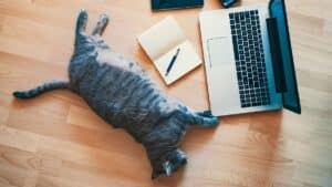 Is AI making us lazier and dumber - Featured