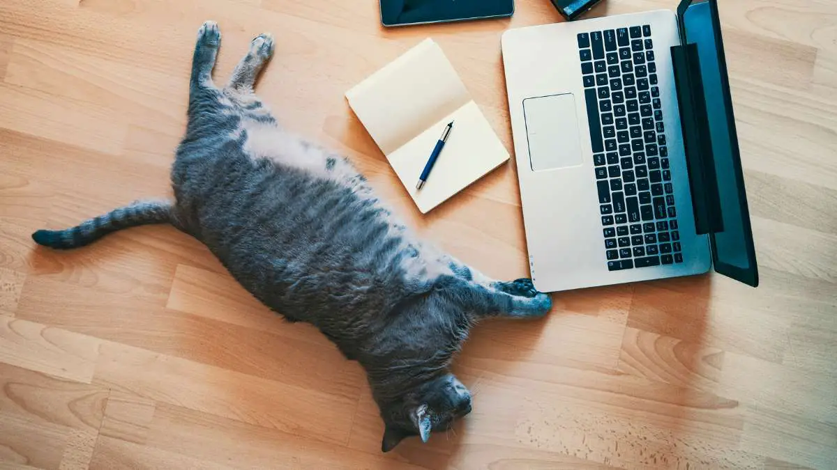 Is AI making us lazier and dumber - Featured