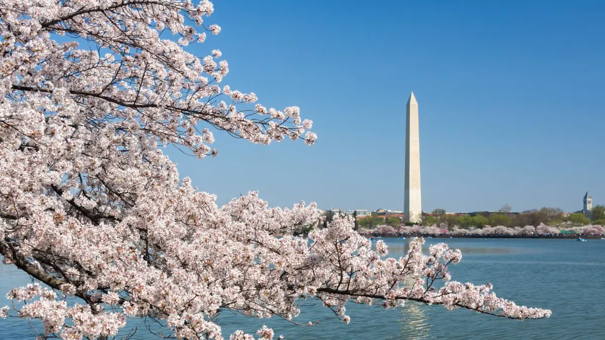 10 Best Cities for a Publishing Career in the US - Featured