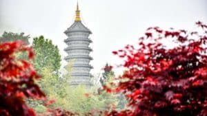 How China will dominate publishing