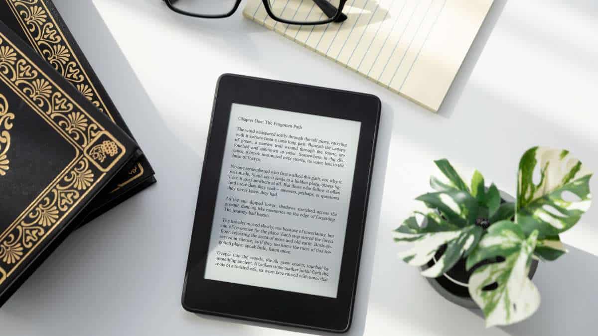 How far can the ebook market grow