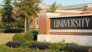 Will universities become their own publisher?